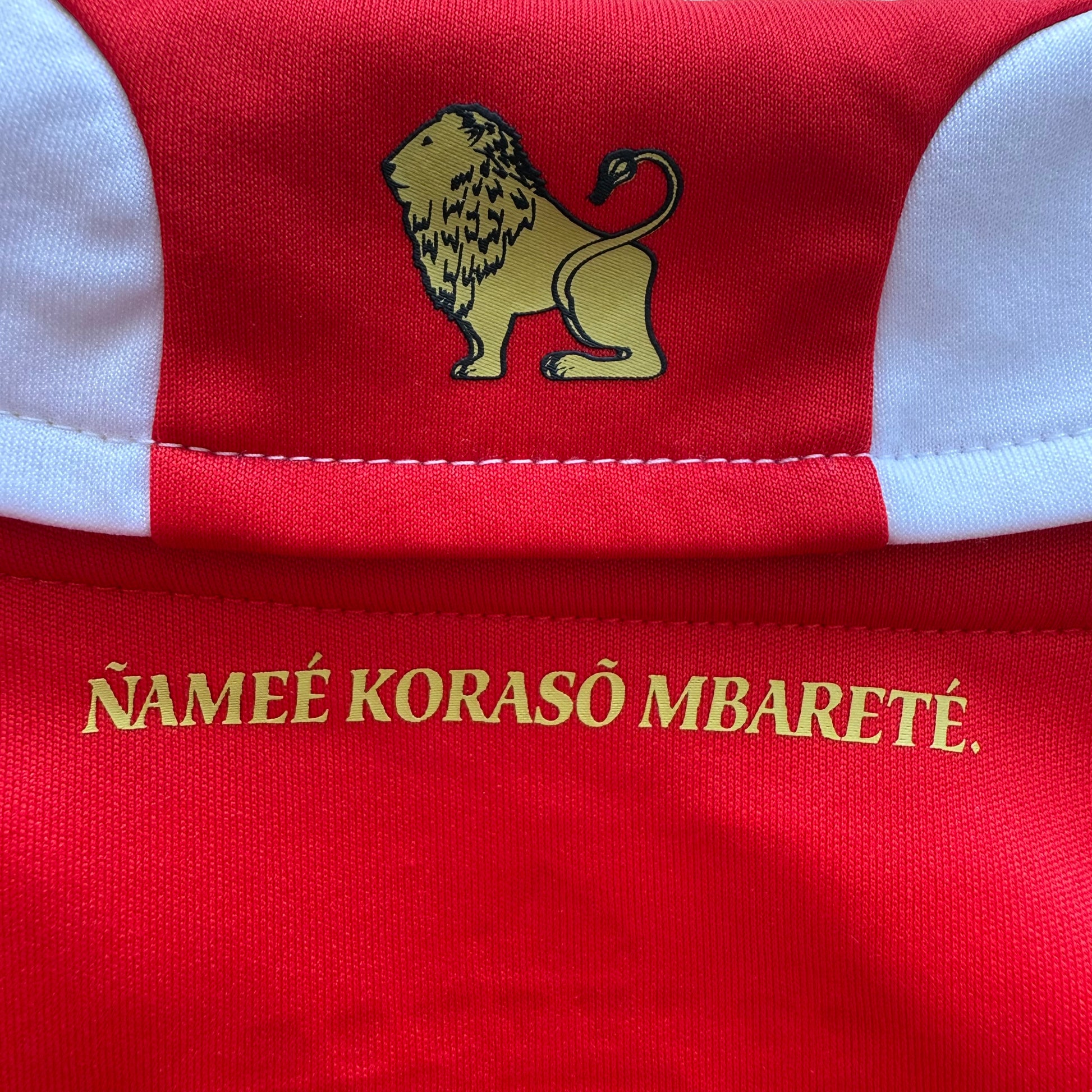 Paraguay | Home 2010/11 (XL)