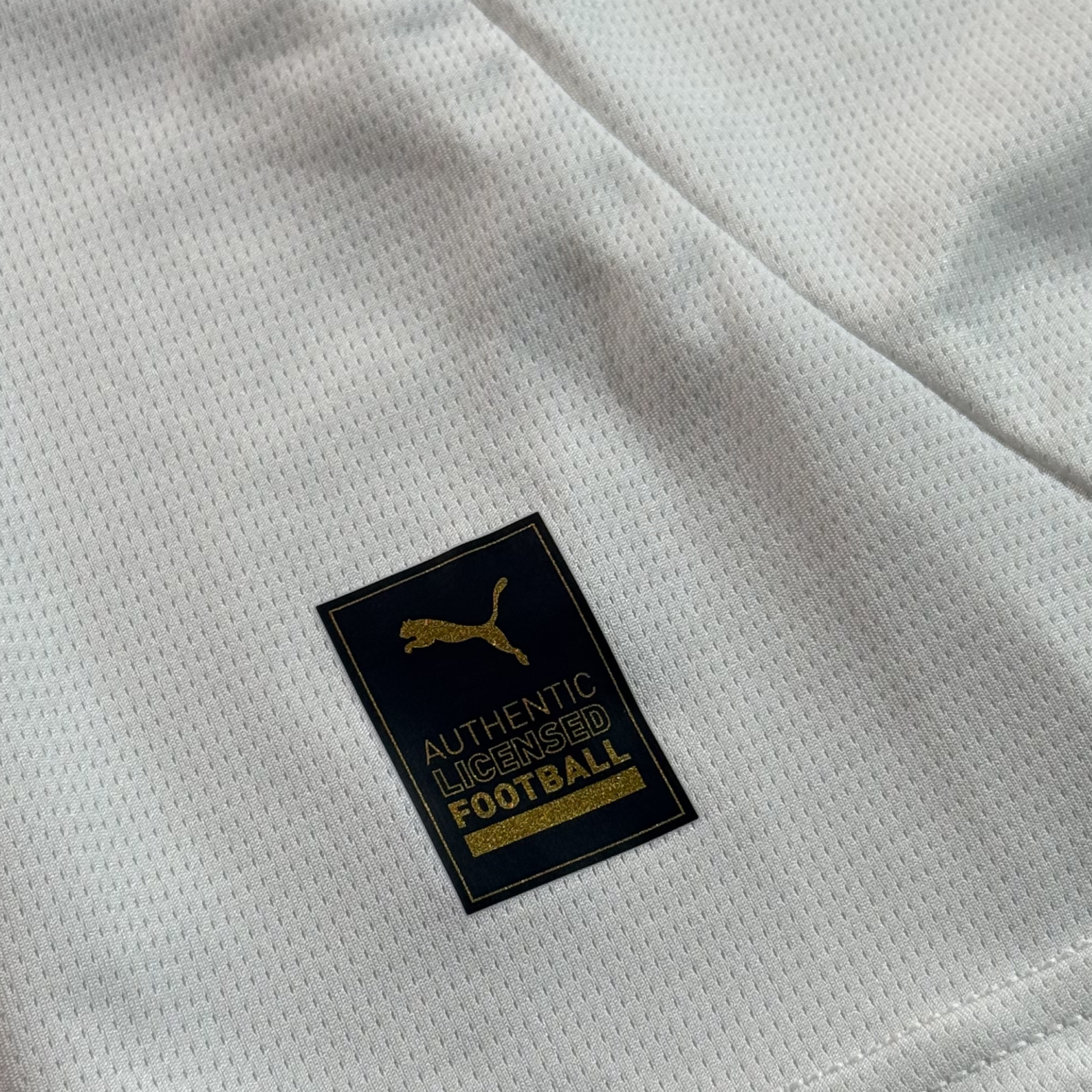 Borussia Dortmund | 3rd 2024/25 (M)