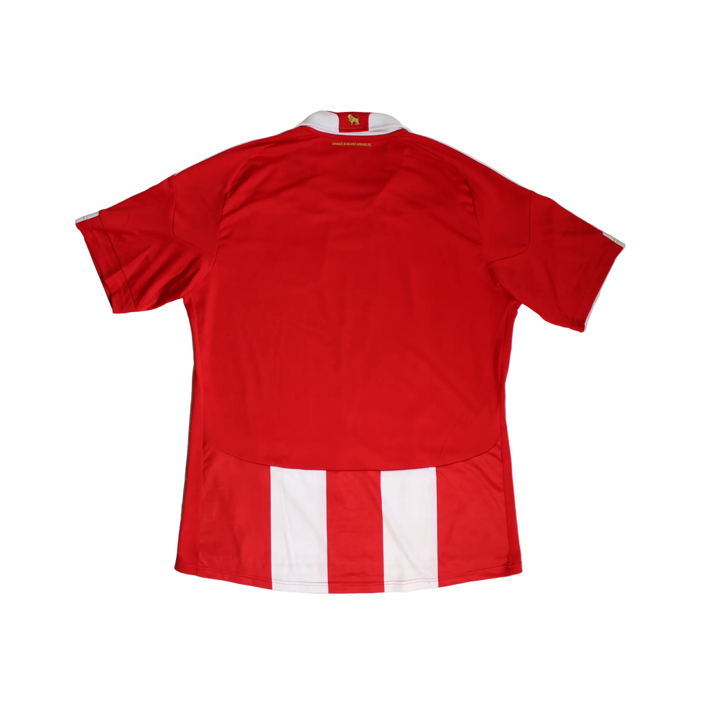 Paraguay | Home 2010/11 (XL)