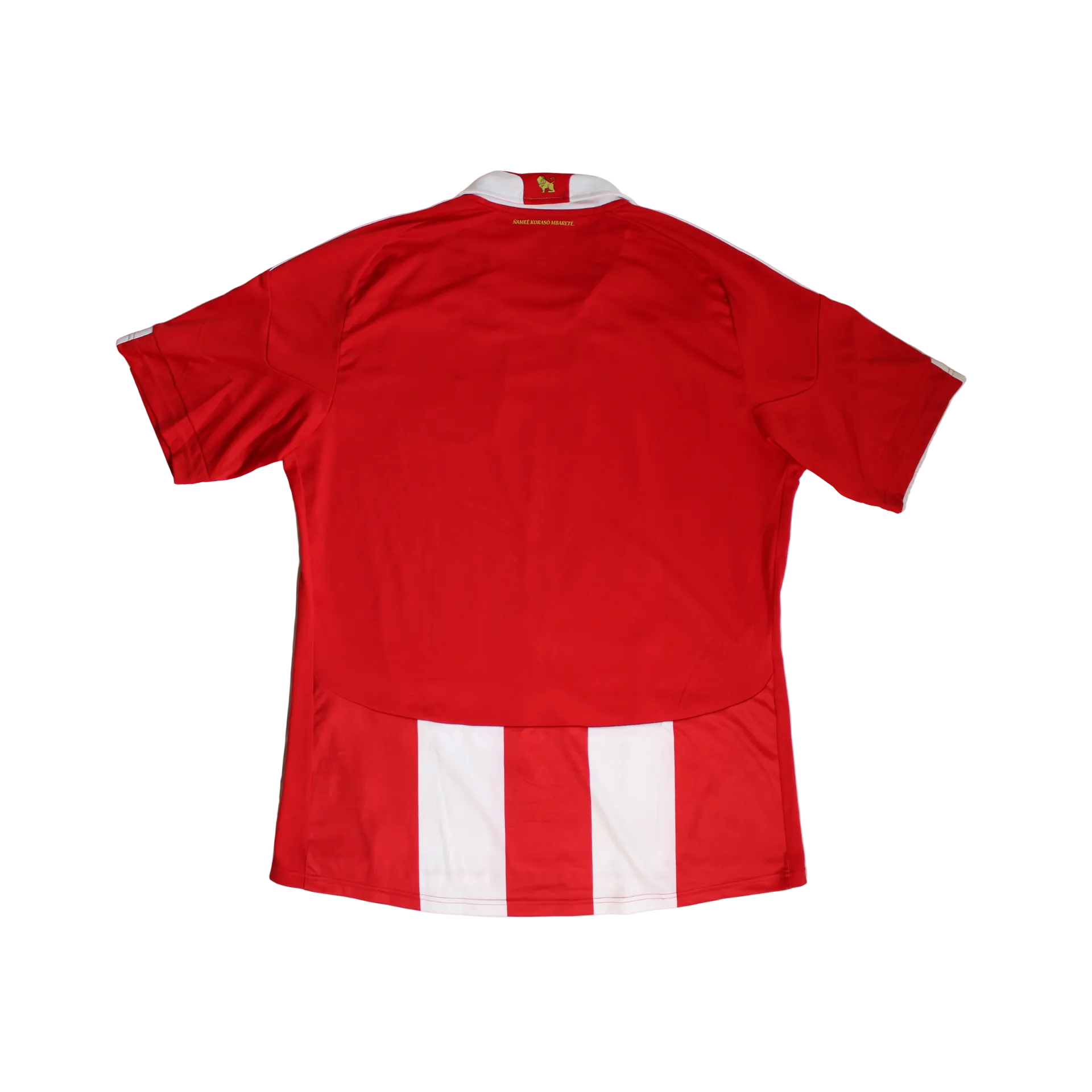 Paraguay | Home 2010/11 (XL)